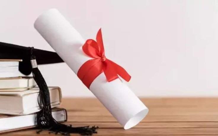 Çıkma Diploma, Çakma Uzman ve Beşik Uleması